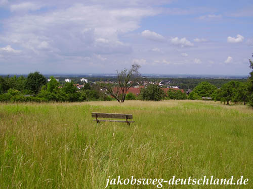 Blick vom Blütenweg über Seeheim-Jugenheim in die Rheinebene