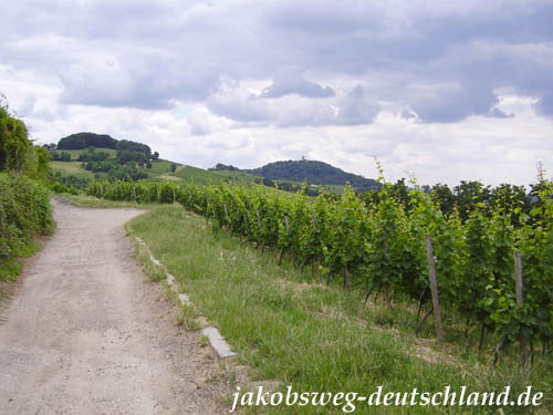 Blick vom Blütenweg oberhalb von Bensheim nach Süden, zur Starkenburg