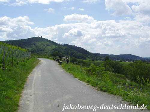 Blick vom Blütenweg über Zwingenberg nach Süden, zum Auerbacher Schloss