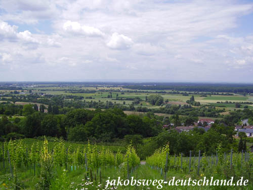 Blick vom Blütenweg über Zwingenberg nach Westen, in die Rheinebene